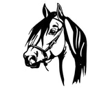 Horse Metal Wall Art, Horse Head Wall Decor, Horse Lover Gift